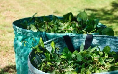 Comment se débarrasser des déchets verts à Lyon ? Les solutions