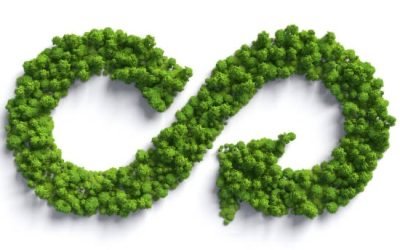 L’économie circulaire dans le bâtiment : une révolution nécessaire pour un avenir durable.