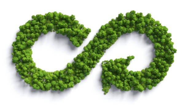 L’économie circulaire dans le bâtiment : une révolution nécessaire pour un avenir durable.